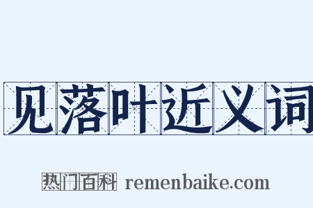 见落叶近义词是什么意思的图片